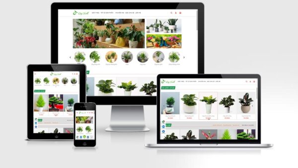 Theme bán chậu cây, cây cảnh, cây xanh mẫu số 3