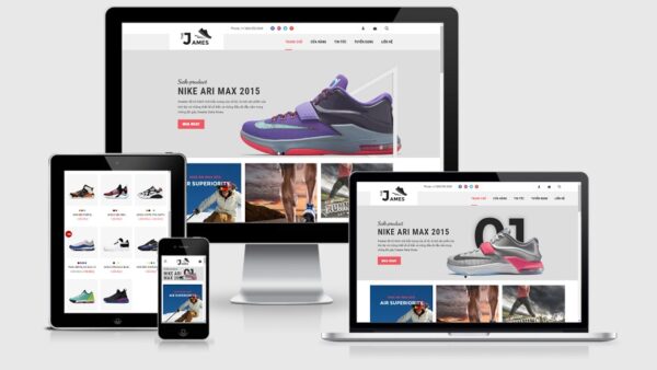 Theme giày thể thao thời trang mẫu số 5